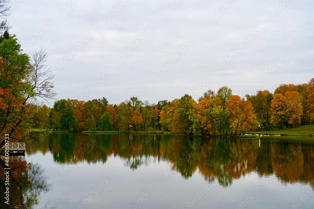 autumn trees reflected in water