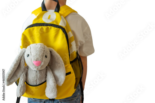 Bunny toy in a boy's backpack over white background. Back to school concept.