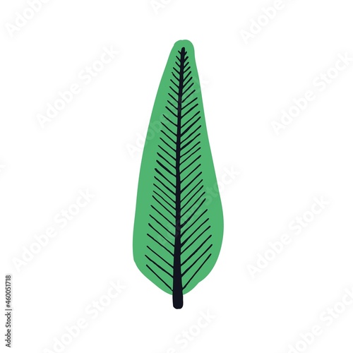 Tree drawn in simple primitive doodle style. Childish drawing of poplar, tall forest plant with crown and trunk. Naive botanical flat vector illustration isolated on white background