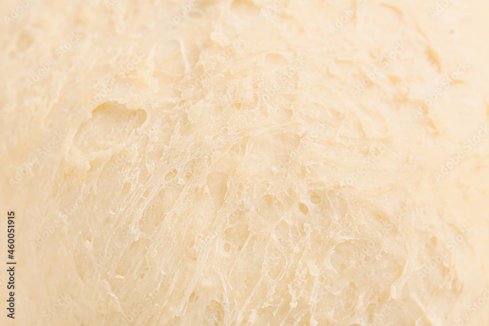 Fresh risen dough as background Fresh risen dough as background