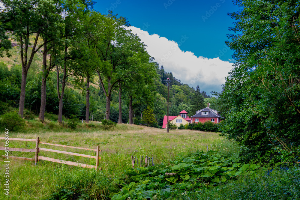 Spätsommerwanderung durch den Thüringer Wald bei Kleinschmalkalden