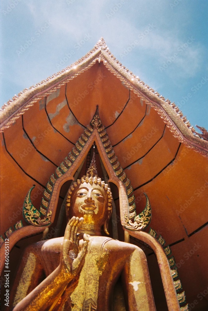 Fototapeta premium golden buddha statue
