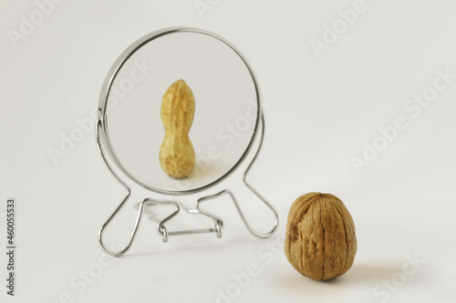 Walnut looking in the mirror and seeing itself as a peanut - Concept of dysmorphobia and distorted self-image photo