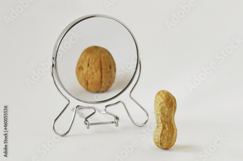 Peanut looking in the mirror and seeing itself as a walnut - Concept of dysmorphobia, anorexia, distorted self-image photo
