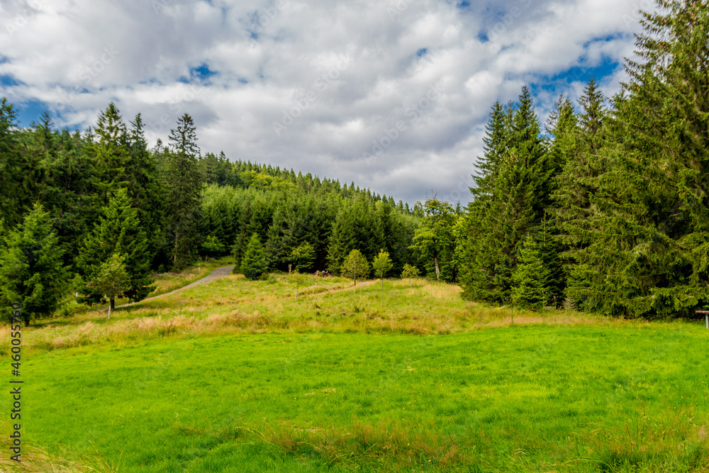 Spätsommerwanderung durch den Thüringer Wald bei Kleinschmalkalden