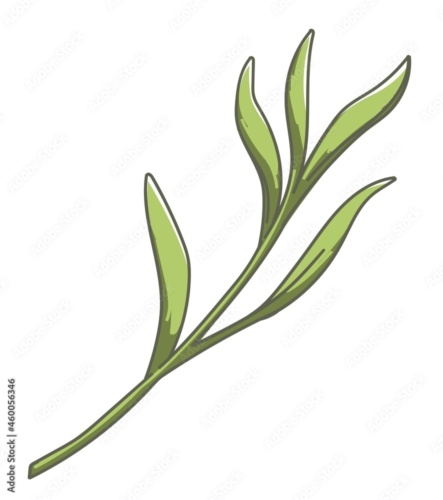 Tropical flora or foliage, nature and lush plant Tropical flora or foliage, nature and lush plant