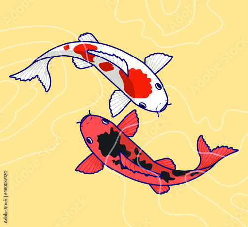 Koi Fish Vector Illustration