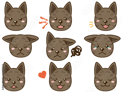 甲斐犬（赤虎毛）の表情顔アイコン