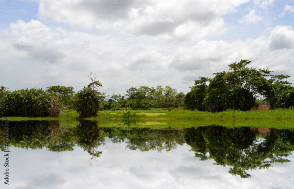 Fototapeta premium lake green , acarigua state , Venezuela