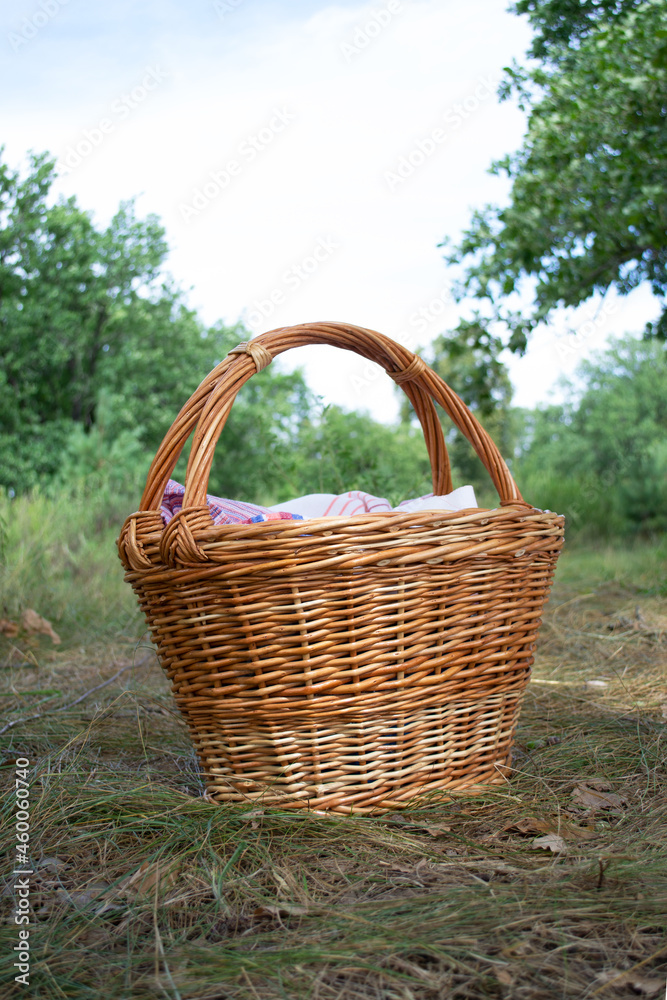 Summer picnic basket on the grass in the forest. Shopping cart close-up. Camping rest Summer picnic basket on the grass in the forest. Shopping cart close-up. Camping rest
