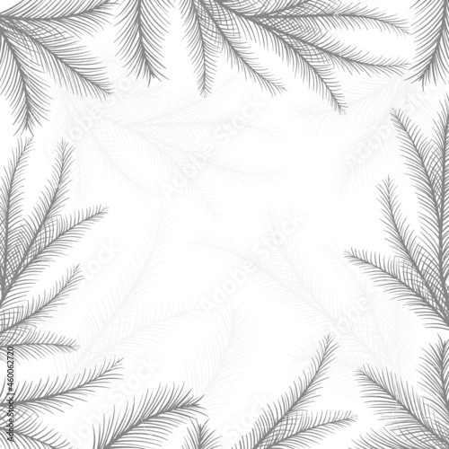 Fototapeta Naklejka Na Ścianę i Meble -  Background with spruce branches. Postcard, texture. Sketch.