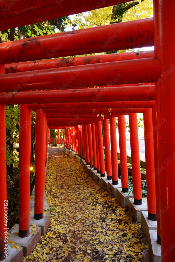 金沢の石浦神社の赤い鳥居 金沢の石浦神社の赤い鳥居