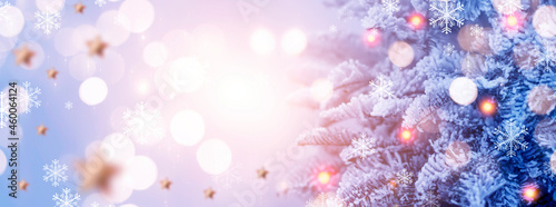 New Year banner with fir br...