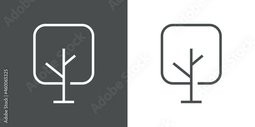Logotipo lineal árbol abstracto con ramas en forma de cuadrado en fondo gris y fondo blanco