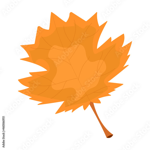 Autumn leaf orange color close up isolated on white background vector illustration