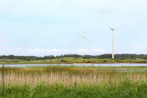 湿地と風車　　ベンセ湿地周辺の風景　　青森県つがる市