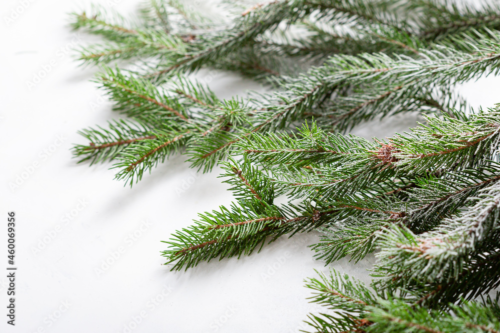 White holiday background on green branch Christmas concept White holiday background on green branch Christmas concept