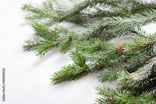 White holiday background on green branch Christmas concept