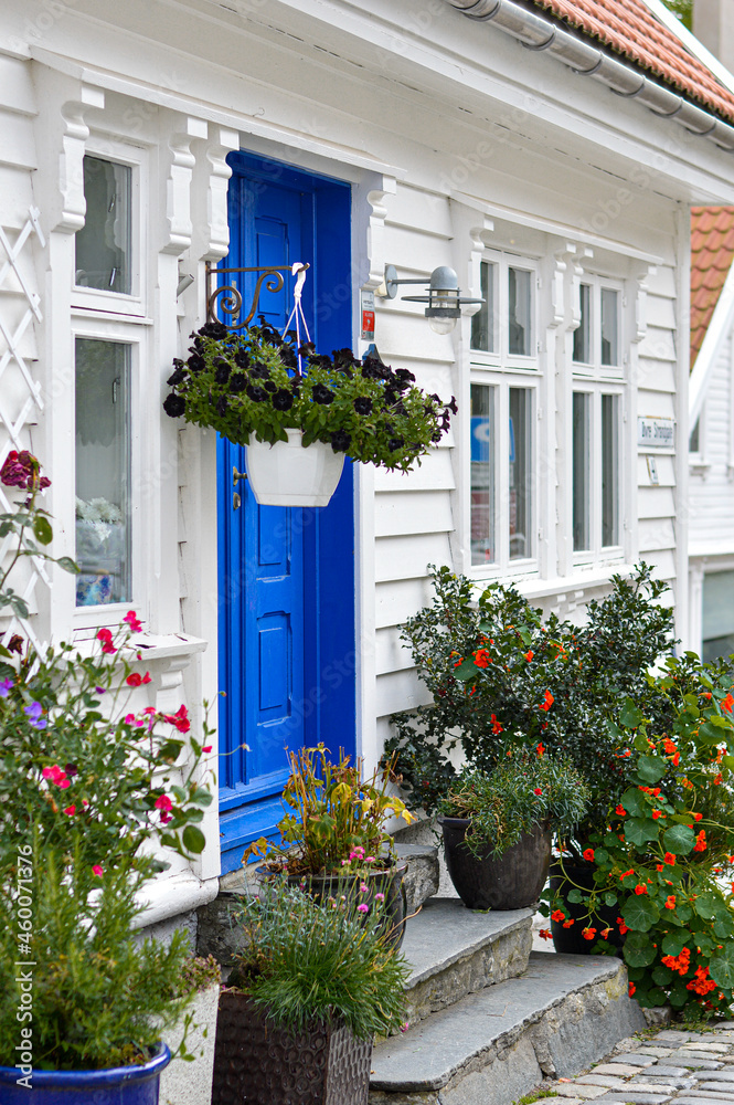 Fototapeta premium blue door of a house with flowers