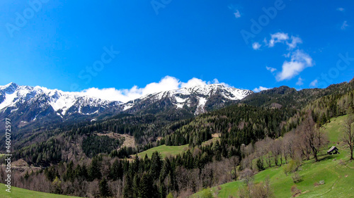 A panoramic view on Baeren Valley in Austrian Alps. The highest peaks in the chain are sonw-capped. Lush green pasture in front. A few trees on the slopes. Clear and sunny day. High mountain chains.