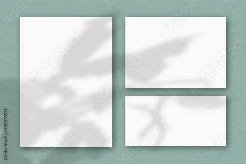 Several horizontal and vertical sheets of white textured paper on the background of a grey wall. Natural light casts shadows from an exotic plant. Flat lay, top view