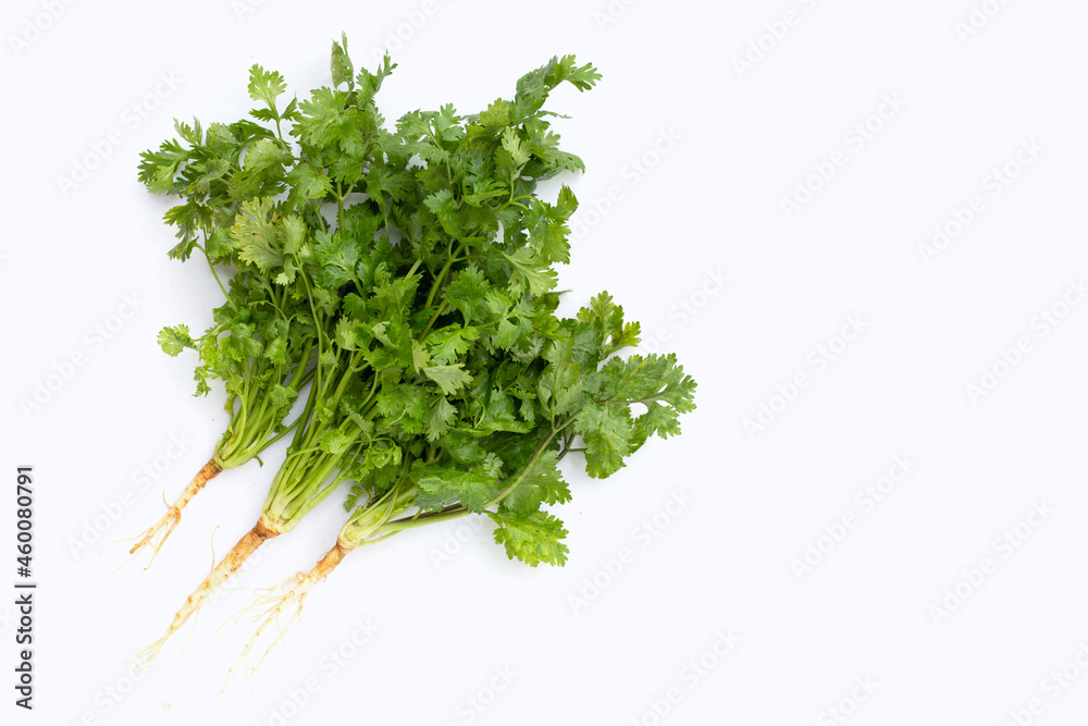 Fresh coriander on white background. Fresh coriander on white background.