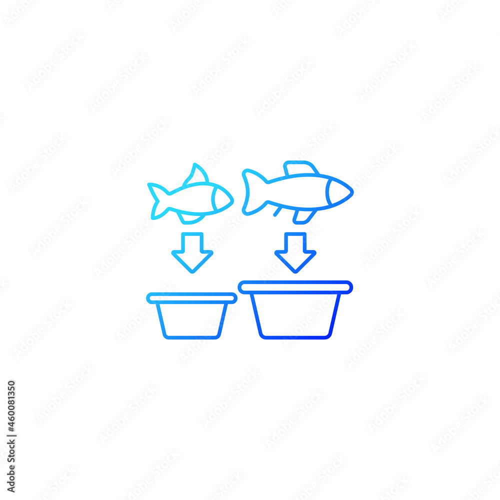 Fish sorting gradient linear vector icon. Grading and separating seafood products for trade. Sorting table and machine. Thin line color symbol. Modern style pictogram. Vector isolated outline drawing Fish sorting gradient linear vector icon. Grading and separating seafood products for trade. Sorting table and machine. Thin line color symbol. Modern style pictogram. Vector isolated outline drawing