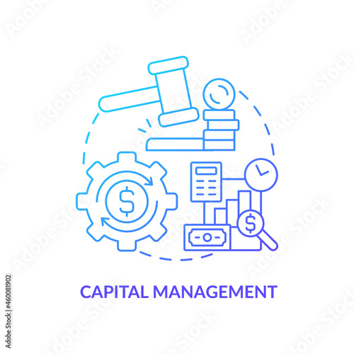 Wealth management concept icon. National or regional economy regulative measures. Capital management process abstract idea thin line illustration. Vector isolated outline color drawing