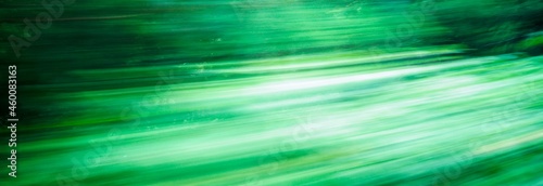 green slanted curved lines motion blur abstract forest bush background banner