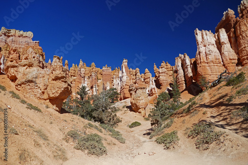 Bryce Canyon National Park, beautiful Bryce Amphitheater known for crimson-colored hoodoos, which are spire-shaped rock formations, popular tourist location, Utah, United States