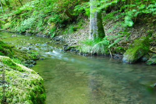 Long exposure of a small waterfall in a green reflecting forest stream in a green spring forest