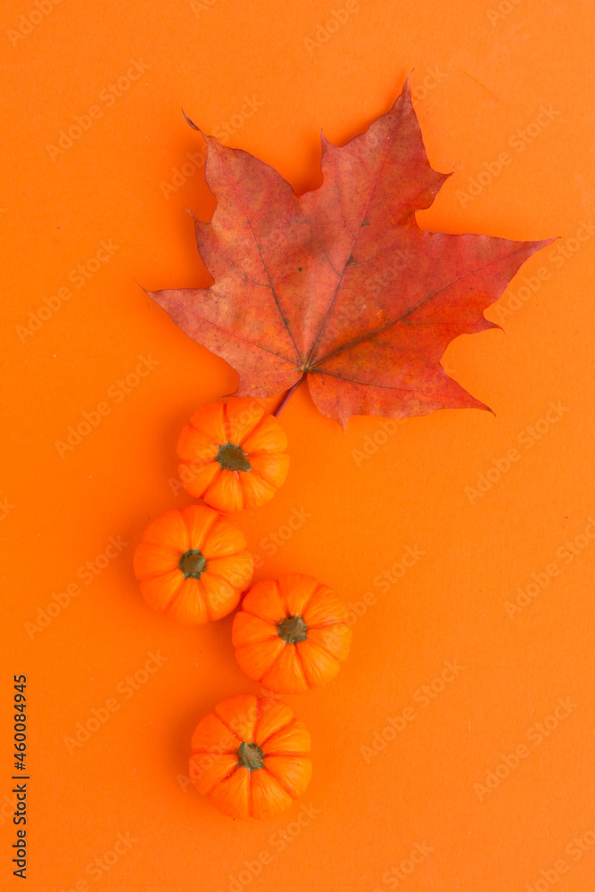 mini pumpkin on orange background