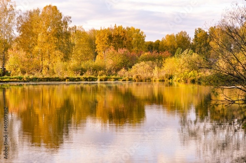autumn trees reflected in water