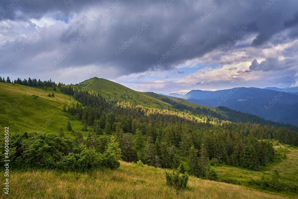 Beautiful summer mountain landscape with dramatic sky. Coniferous forest surrounds the top of the mountain