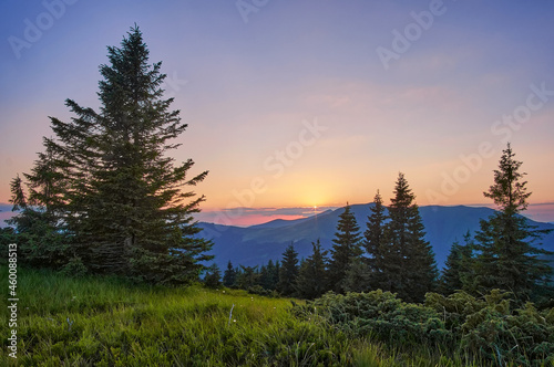 Sunset in the mountains. Between large dark fir trees, the sun sinks behind a distant mountain range