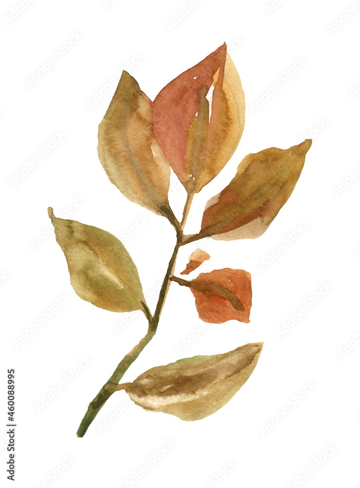 Watercolor hand painted fall boho botanical leaves and branch illustration isolated on white background Watercolor hand painted fall boho botanical leaves and branch illustration isolated on white background