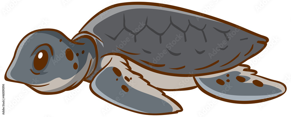 Turtle animal cartoon on white background Turtle animal cartoon on white background