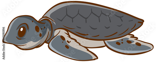 Turtle animal cartoon on white background