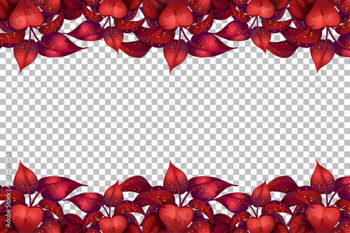 Nature plants frame transparent background