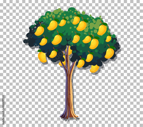 Mango tree on transparent background