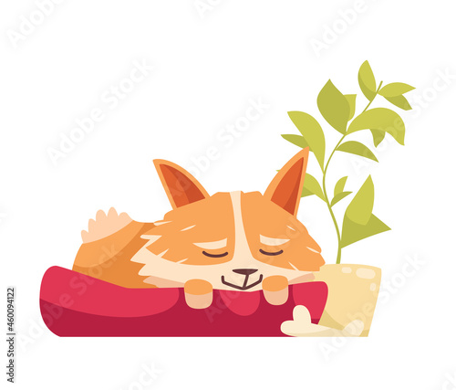 Sleeping Dog Illustration