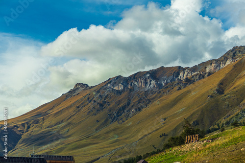 mountain meadow in morning light. countryside springtime landscape with valley in fog behind the forest on the grassy hill. fluffy clouds on a bright blue sky. nature freshness concept
