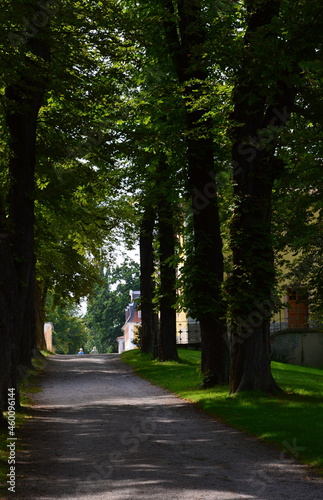 Schloss und Park Belvedere in Weimar  Th  ringen