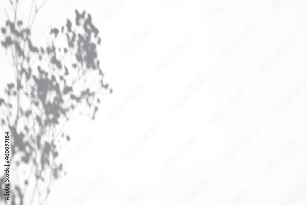 Obraz premium Trending concept in natural materials with plant shadow on white background. Presentation with daylight. Natural blurred shade. Summer sunlight from herb. Abstract beautiful backdrop for text or