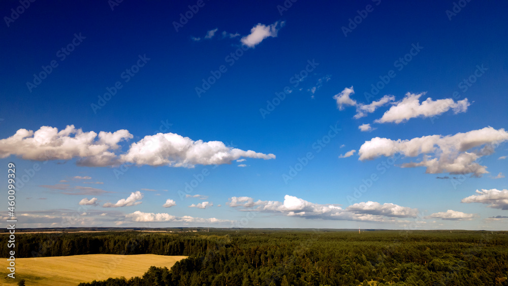 Top view of green fields, forest and cloudy blue sky in summer. Landscape with drone. Nature concept.