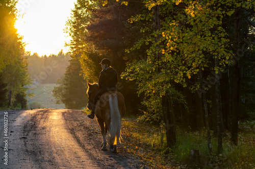 Woman horseback riding on a country road at sunset © citikka
