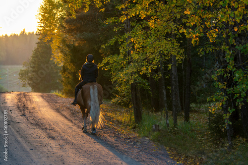 Woman horseback rides on the country road at sunset © citikka