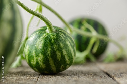 Waterelon, honey watermelon on wooden table background. photo