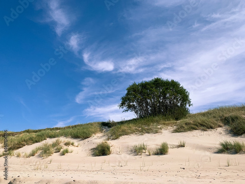 Beautiful dunes with seascape background, perfect surface of the sea