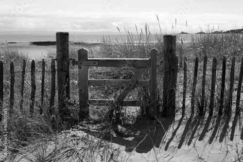 Monochrome image of old wooden gate and fence on the beach